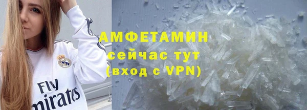 дурь Бородино
