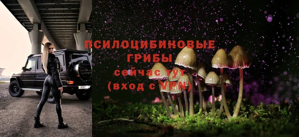 мдма Переславль-Залесский
