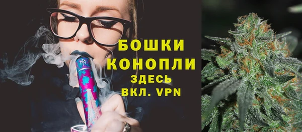 дурь Бородино